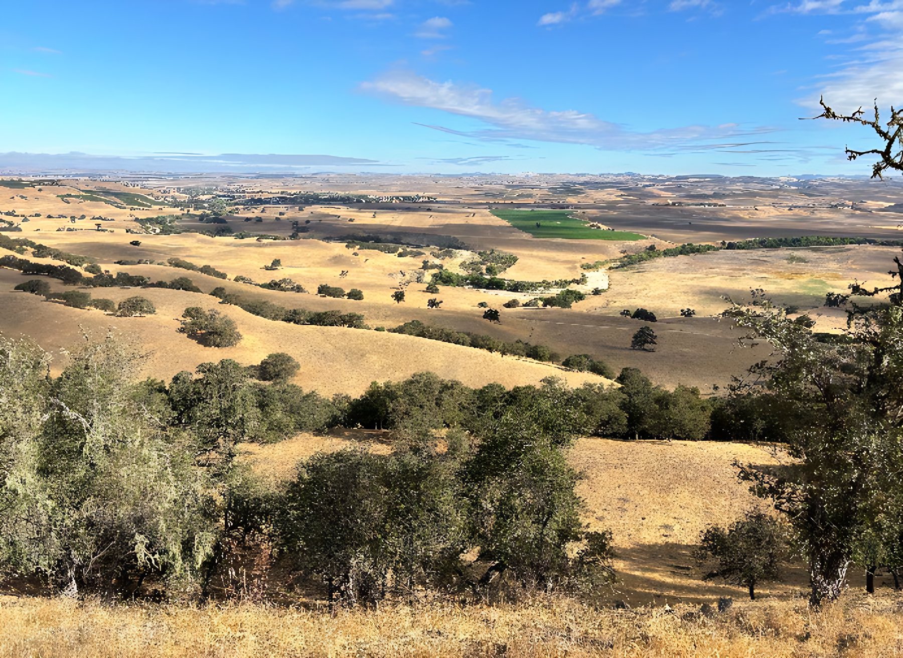 View north from the oak woodland ridgeline across the Bank Lands toward Yokum’s Bend on the Estrella River