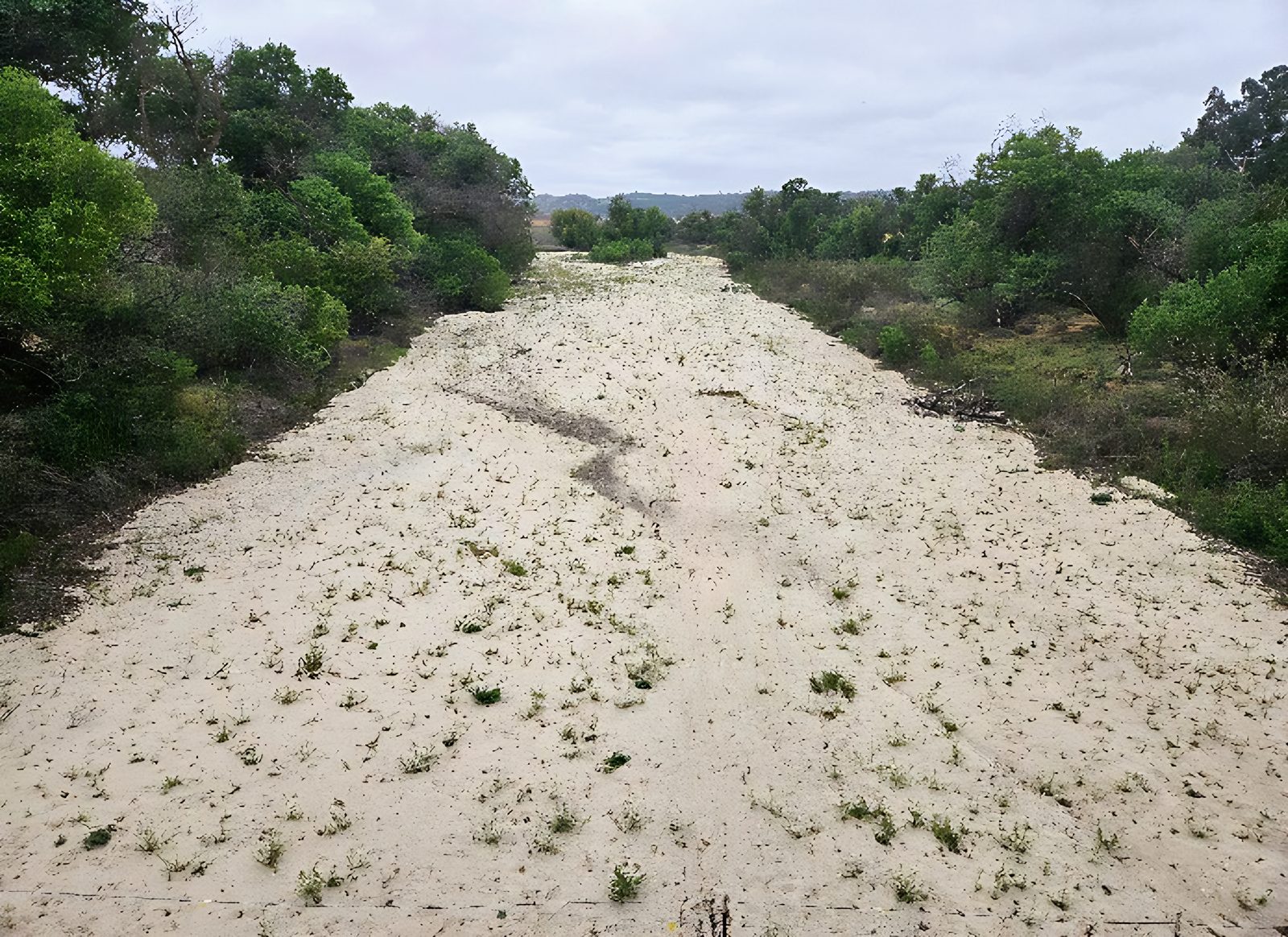 Estrella River, intermittent stream credit type, grazed