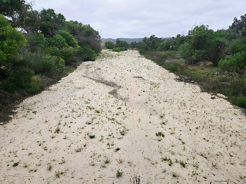 Estrella River intermittent stream, grazed