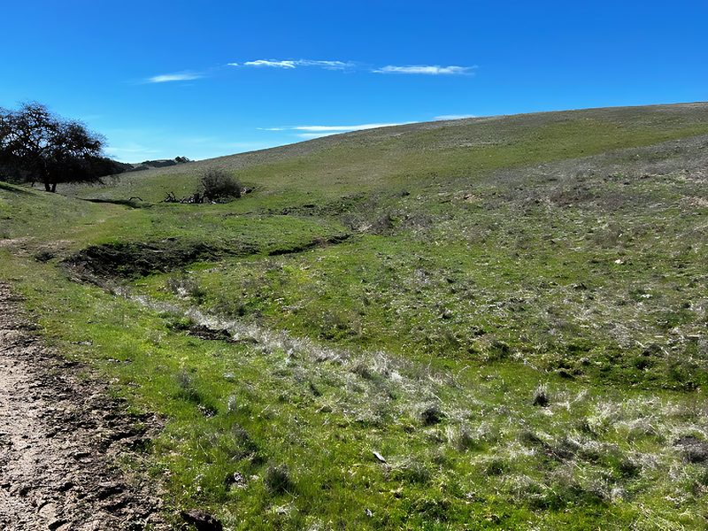 Ephemeral stream, tributary to Estrella River