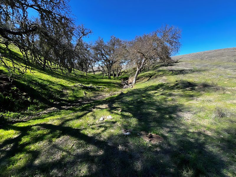 Ephemeral stream with blue oak woodland canopy