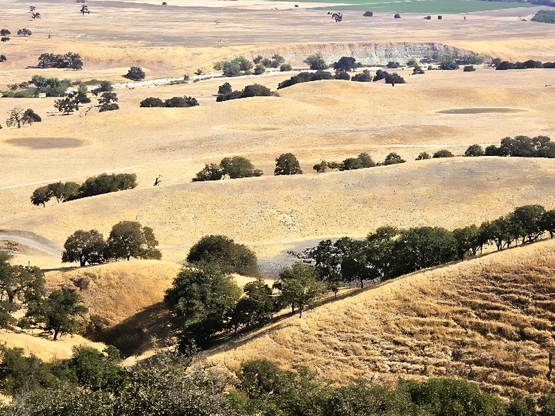 Vernal pools on a terrace above Estrella River