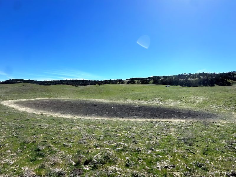 Vernal Pool 9