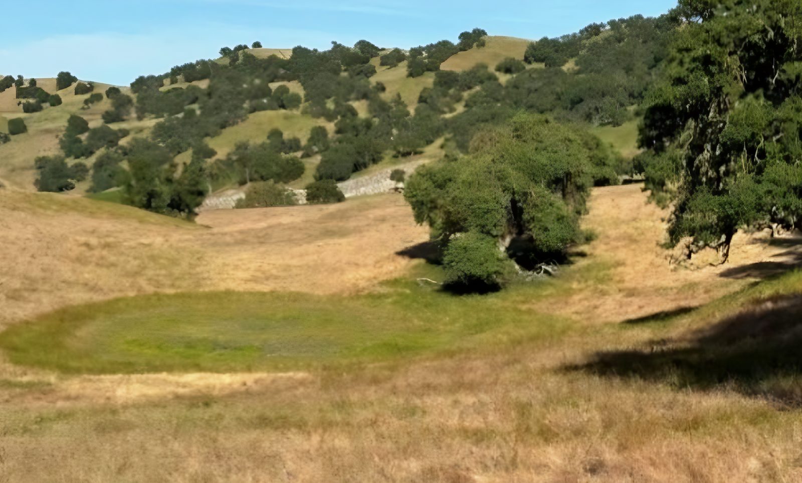 Vernal pool and oak woodland on the Bank Lands
